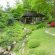 Garden Photo