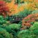 Gardens Photo