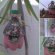 Plastic Bottle Ideas