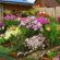 How To Make A Beautiful Garden