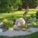 Landscape Design For Photos