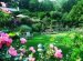 Landscape Design