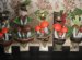 Decoration From Wood