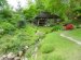 Garden Photo