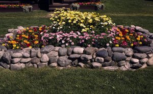 Disein Clumb With His Hands
