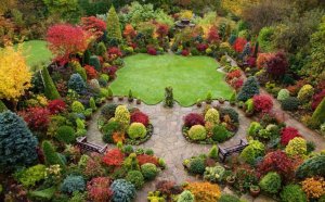 Landscape Design Elements