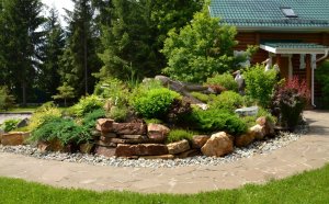 Landscape Design Of Alpine Mountain