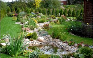 Landscape Design Photos