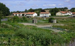 My Garden And The Garden Of The Photo