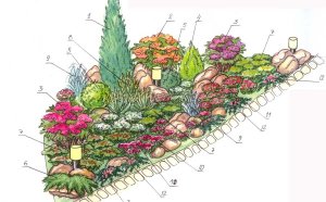 Landscape Design Projects