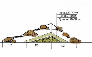 Alpine Mountain Device