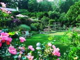 Landscape Design