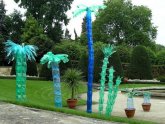 Plastic Bottles For Gardens