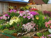 How To Make A Beautiful Garden
