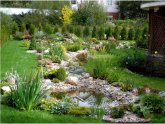 Landscape Design Photos