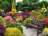 Landscape Design Of Dry Areas