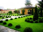 Landscape Design For A 6-Strong Section