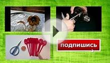 Цветы из пластиковых бутылок. Лилии