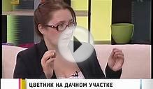 Цветник на дачном участке. GuberniaTV