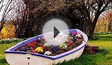Необычные, красивые клумбы в лодке. Креативно, оригинально