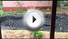 Онлайн-видео о том, как сделать пруд на даче своими руками